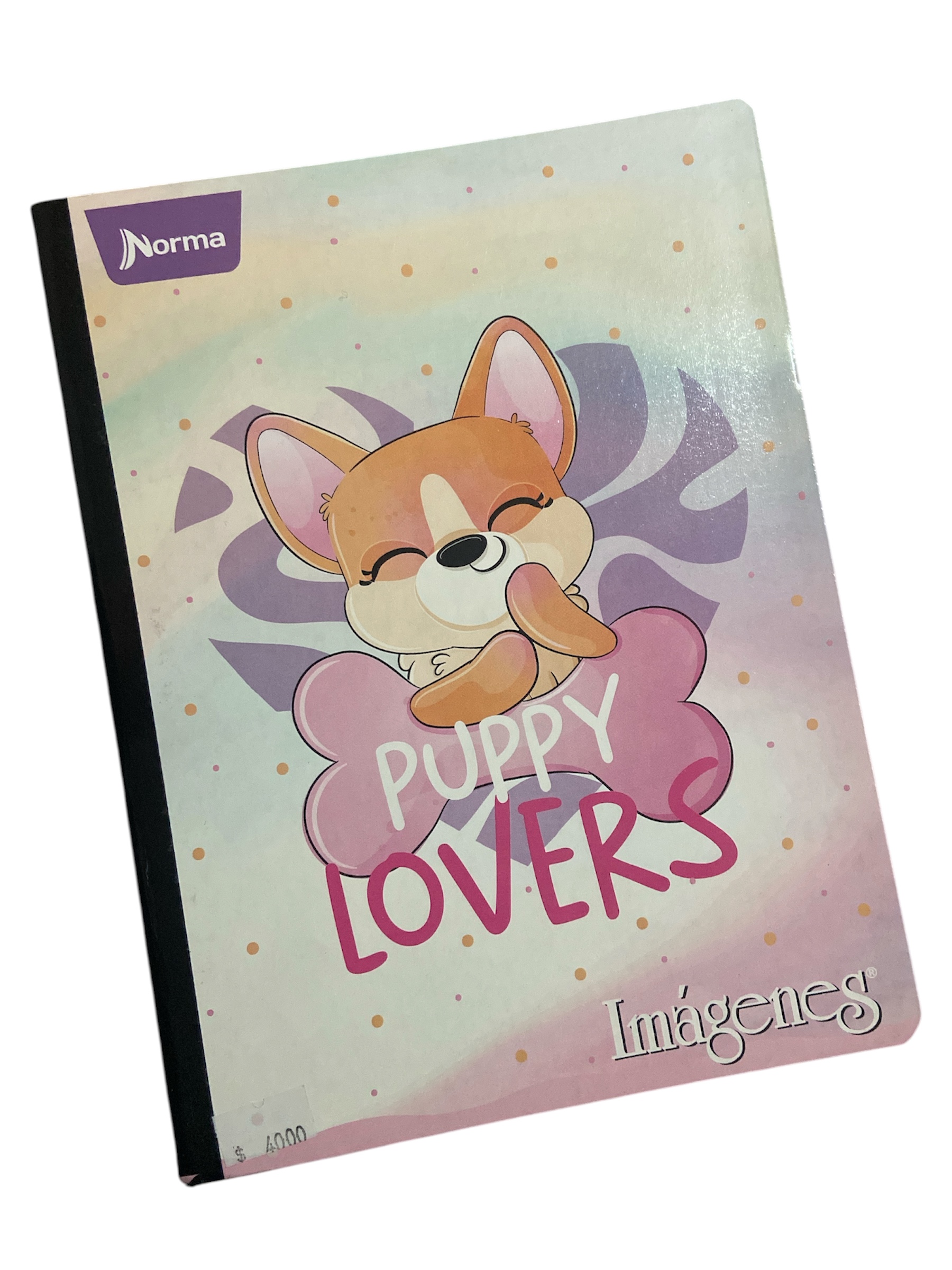 CUADERNO 100 HOJAS CUADRICULADO NORMA COSIDO MEDIANO (surtido niña)